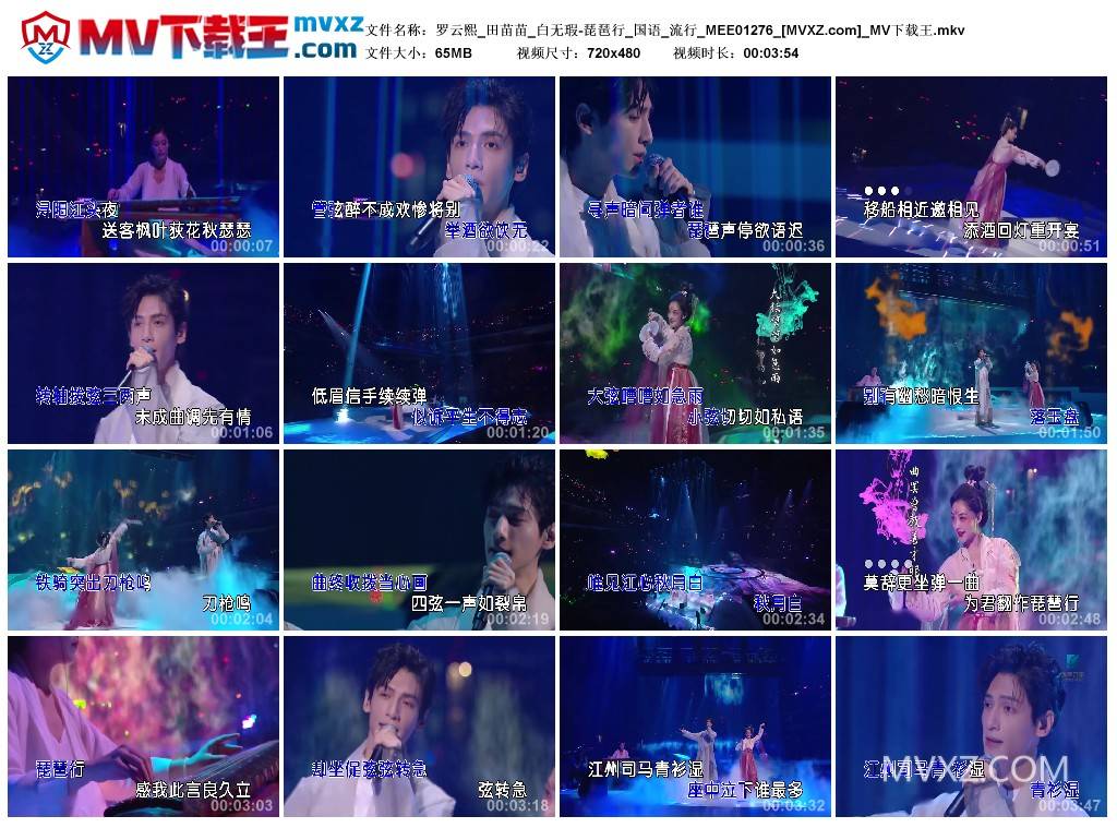 罗云熙_田苗苗_白无瑕-琵琶行_国语_流行_MEE01276